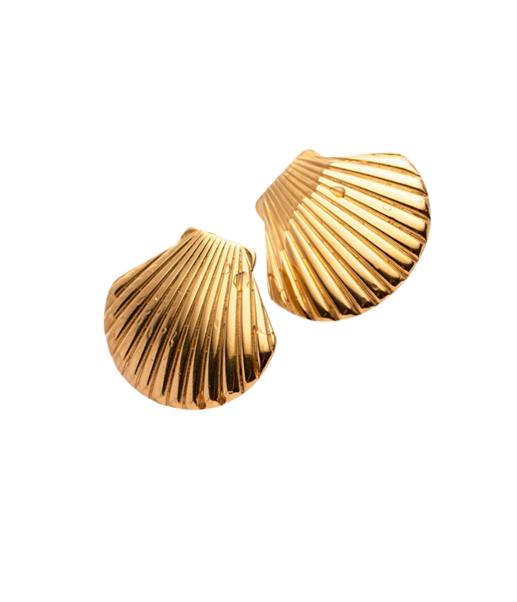 Shell earrings